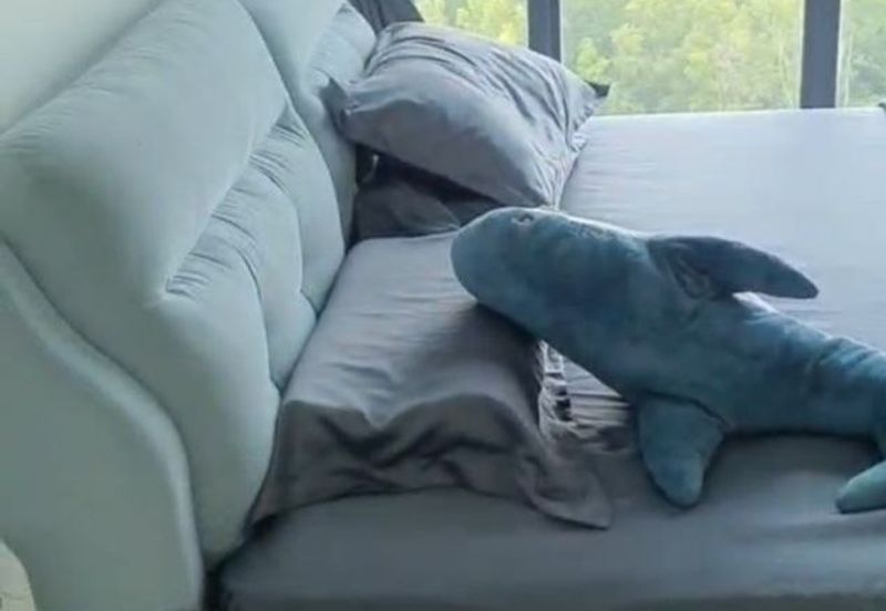 The Cruise Residence