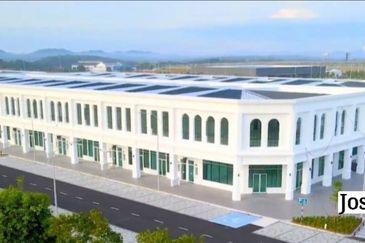 Whitten Eco Majestic