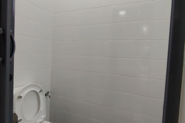 Hazelton @ Eco Forest 3