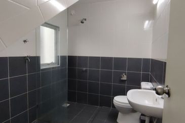 Hazelton @ Eco Forest 3