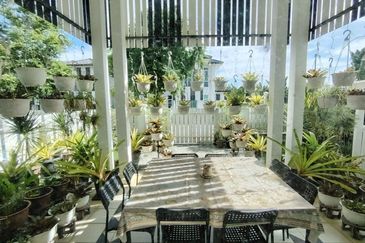 Mellowood @ Eco Majestic