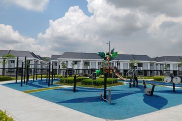 Hazelton @ Eco Forest 3