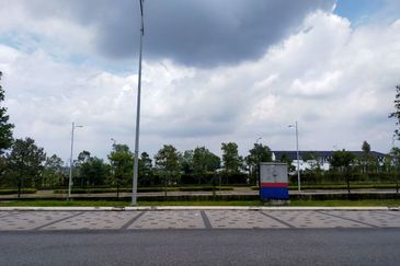 Whitten Eco Majestic