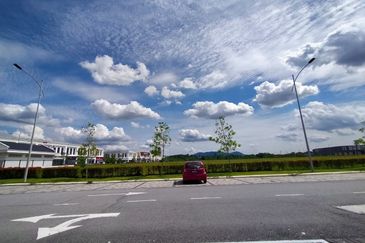 Whitten Eco Majestic