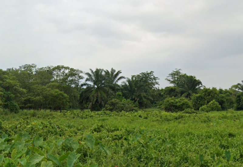 Kampung Bukit Lanchong