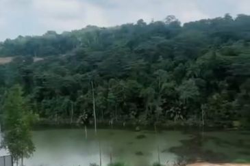 Agriculture Land for Sale @ U15, Bukit Cerakah, Shah Alam, Selangor