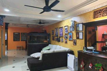 Anggerik Doritis @ Kota Kemuning