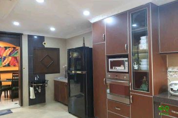 Anggerik Doritis @ Kota Kemuning