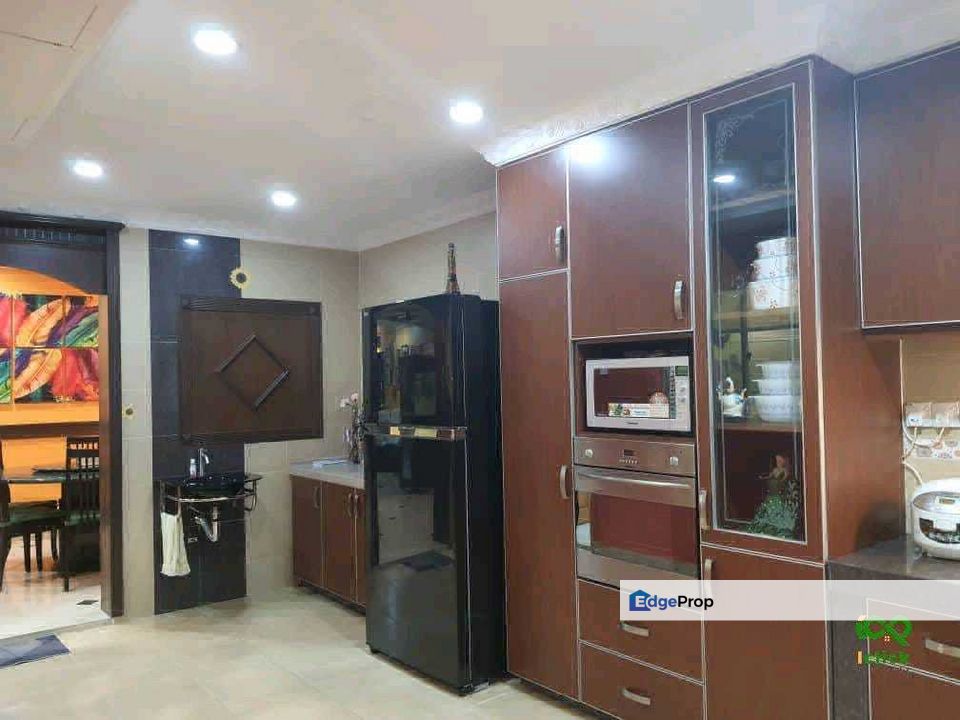 Anggerik Doritis @ Kota Kemuning, Shah Alam, Selangor, Selangor, Shah Alam