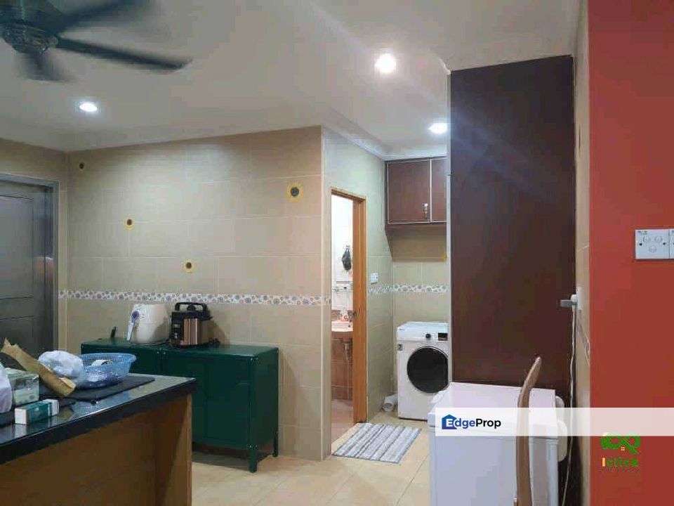 Anggerik Doritis @ Kota Kemuning, Shah Alam, Selangor, Selangor, Shah Alam