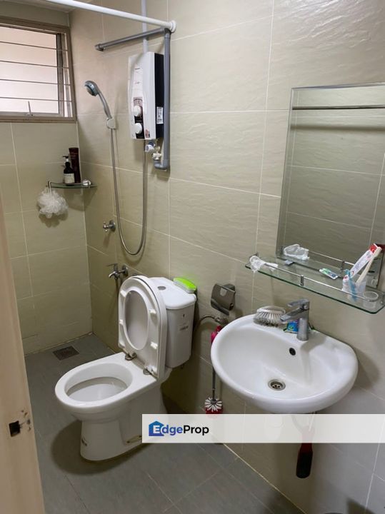 Elaeis, Bukit Jelutong, Selangor, Selangor, Bukit Jelutong