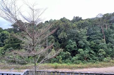 Kinrara Hills