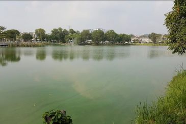 Lake Edge