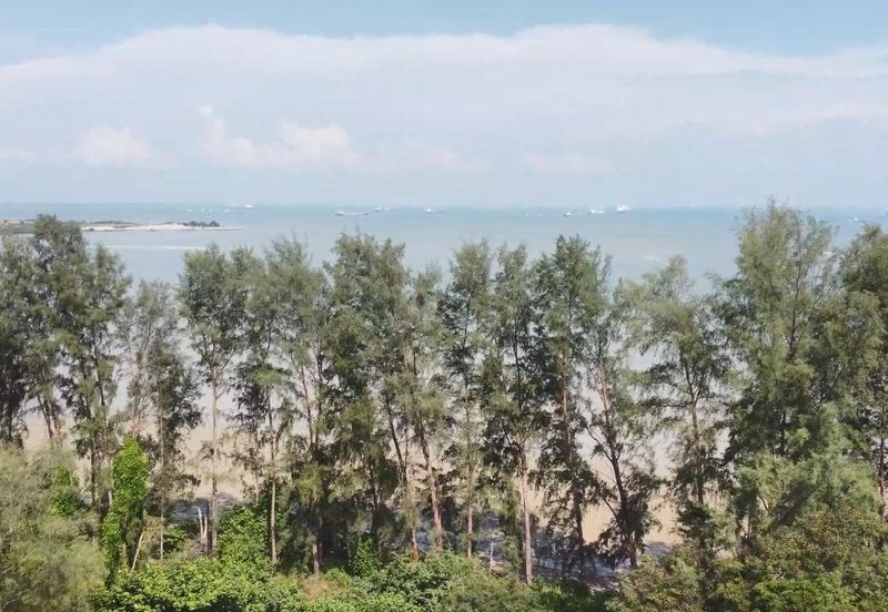 BUKIT PELALI @ PENGERANG