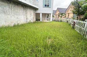 Tropica Semi-D Elizebeth Falls