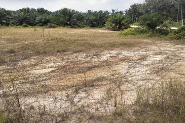 PEKAN SIMPANG TIGA IJOK