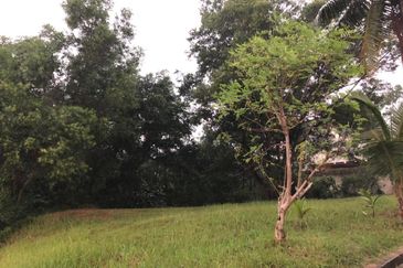 Country Heights Damansara Freehold Bungalow Land