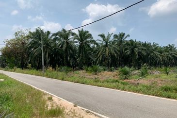 PEKAN SIMPANG TIGA IJOK