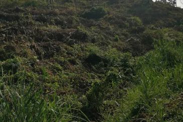 JALAN BENTONG - TRAS