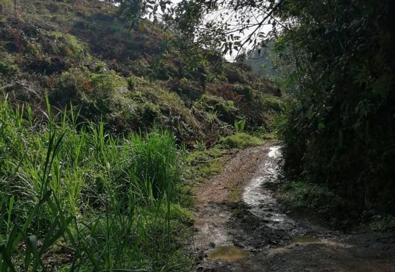 JALAN BENTONG - TRAS