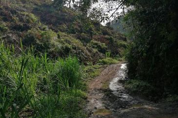 JALAN BENTONG - TRAS