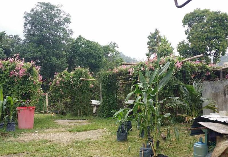 JALAN BENTONG - TRAS