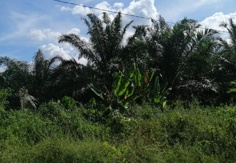 JALAN BENTONG - TRAS