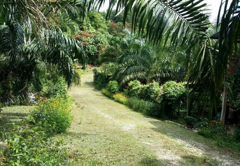 JALAN BENTONG - TRAS