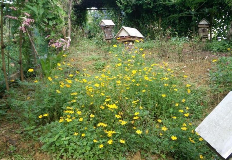 JALAN BENTONG - TRAS