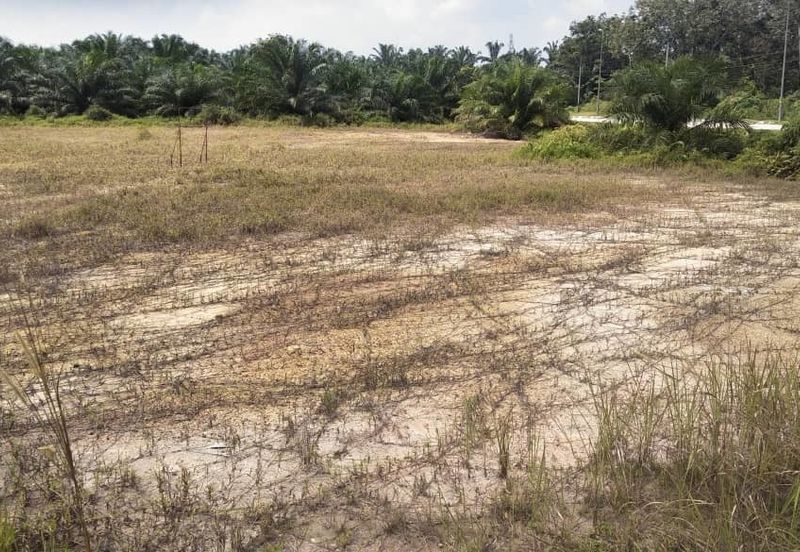 BT 8 KAMPUNG SIJANGKANG