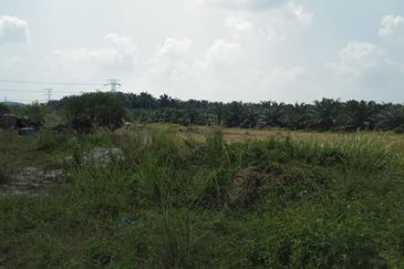 BT 8 KAMPUNG SIJANGKANG