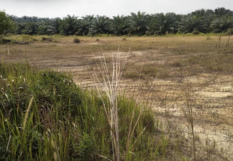 BT 8 KAMPUNG SIJANGKANG