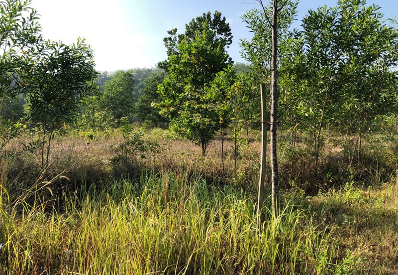 One Semenyih Industrial Park