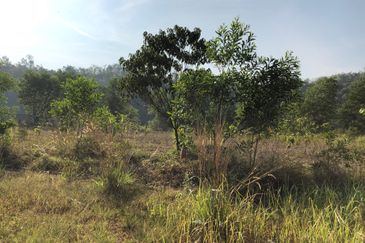 One Semenyih Industrial Park