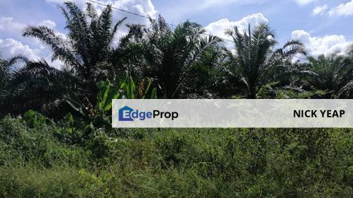 Durian Orchard Land, Pahang, Karak