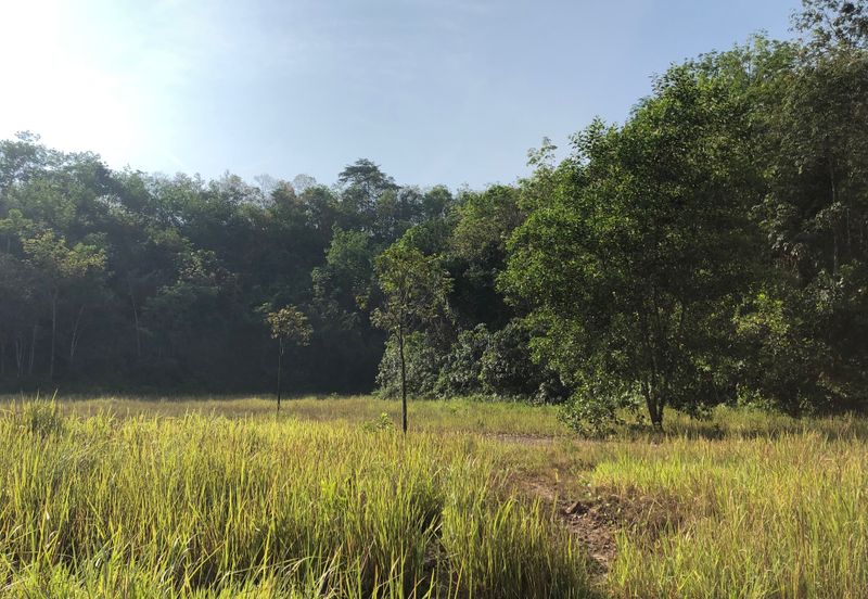 Meru Industrial Park