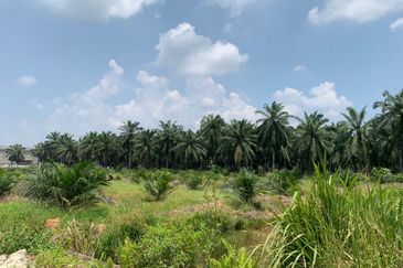 Mentakab Agricultural Land