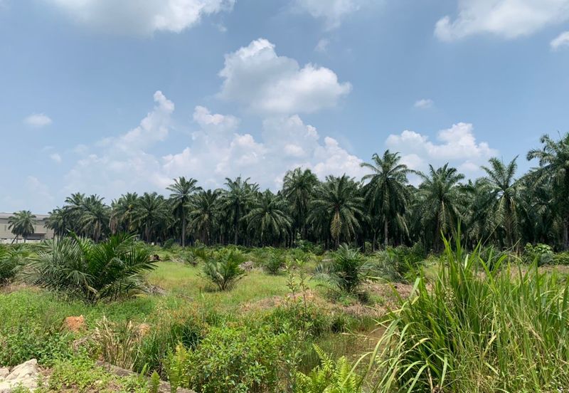 Mentakab Agricultural Land