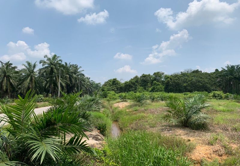 Mentakab Agricultural Land