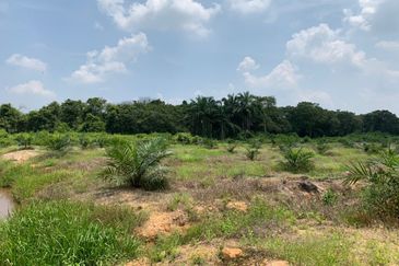 Mentakab Agricultural Land