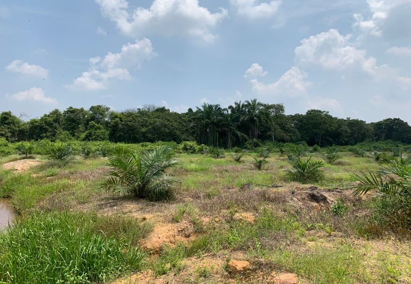 Mentakab Agricultural Land