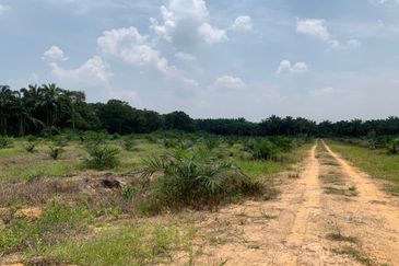 Mentakab Agricultural Land