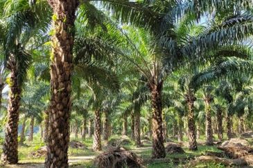 Taman Perepat Permai, Kapar