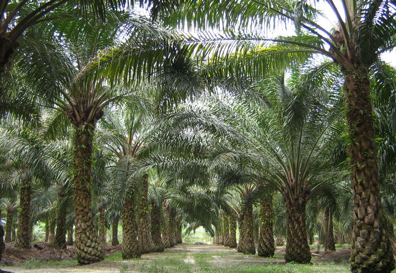 Taman Perepat Permai, Kapar