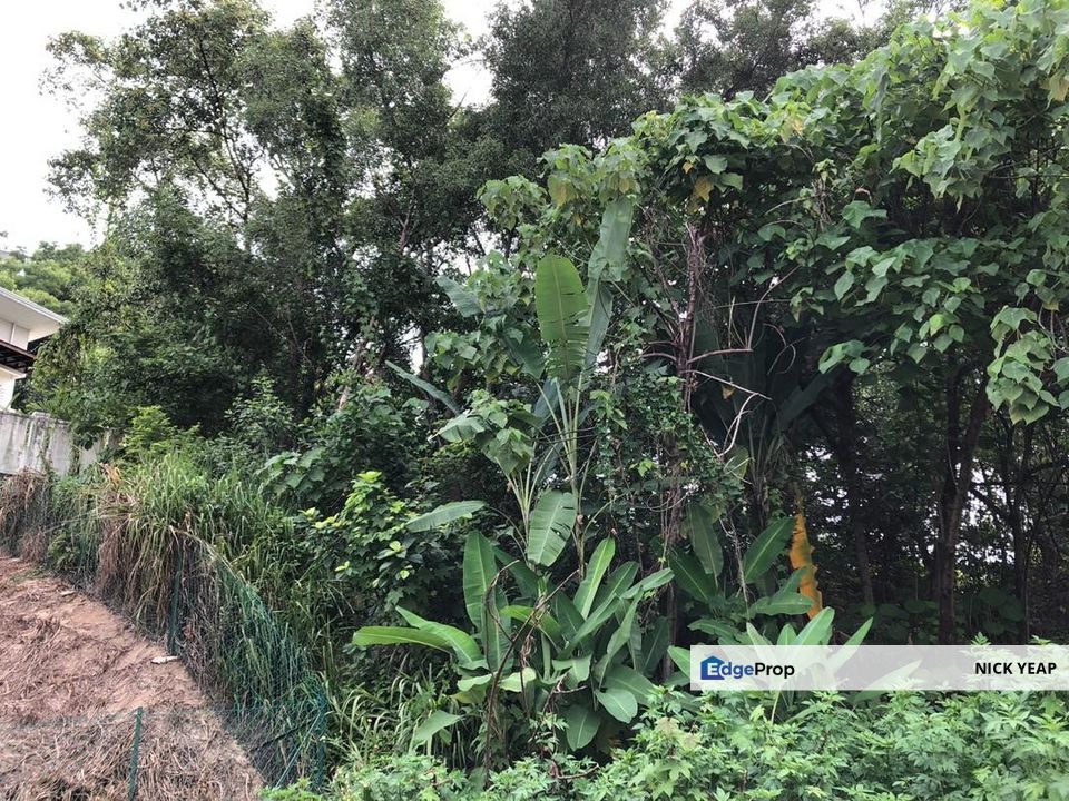Bukit Gasing Hill Bungalow Land Freehold, Selangor, Petaling Jaya