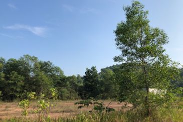 Kawasan Perindustrian PKNS