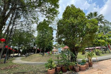 Laman Rimbunan Matahari