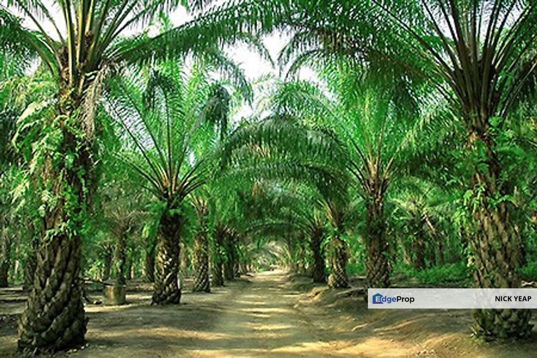 Telok Panglima Garang Industrial Land, Selangor, Telok Panglima Garang