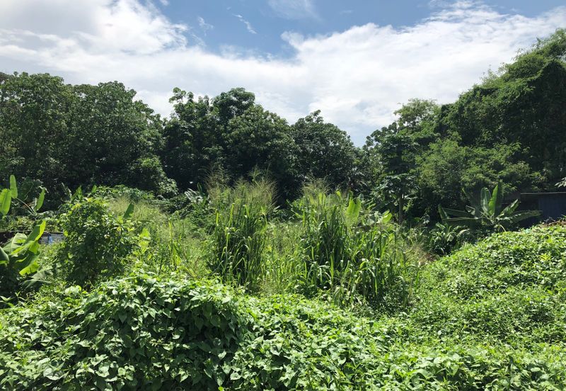 Pantai Dalam Kampung Kerinchi