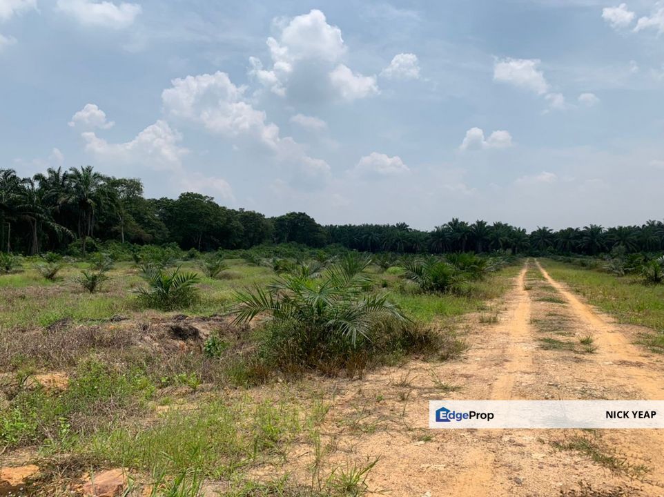 Telok Panglima Garand Industrial Land, Selangor, Telok Panglima Garang